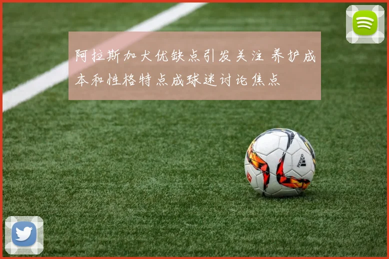阿拉斯加犬优缺点引发关注 养护成本和性格特点成球迷讨论焦点