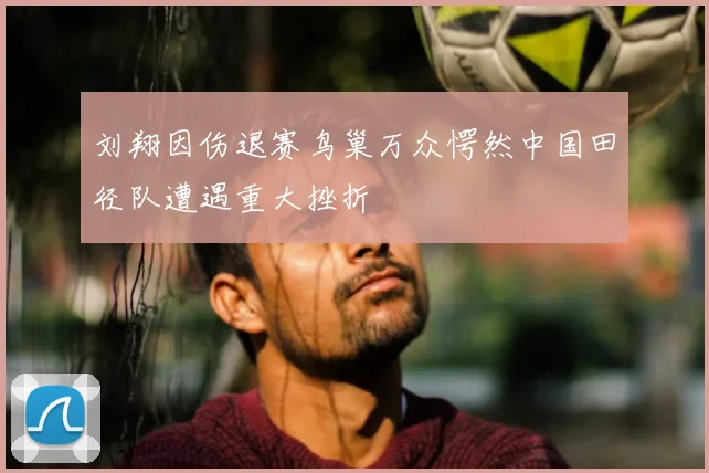 刘翔因伤退赛鸟巢万众愕然中国田径队遭遇重大挫折