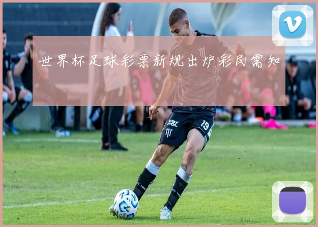 世界杯足球彩票新规出炉彩民需知