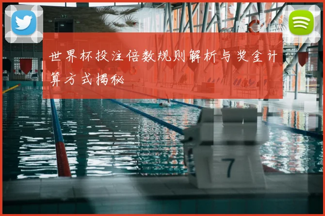 世界杯投注倍数规则解析与奖金计算方式揭秘