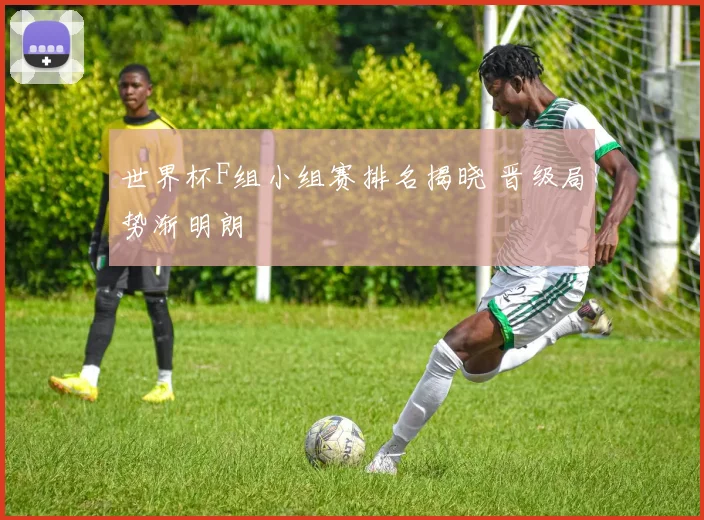 世界杯F组小组赛排名揭晓 晋级局势渐明朗