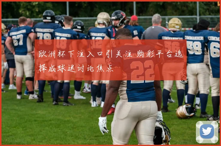 欧洲杯下注入口引关注 购彩平台选择成球迷讨论焦点